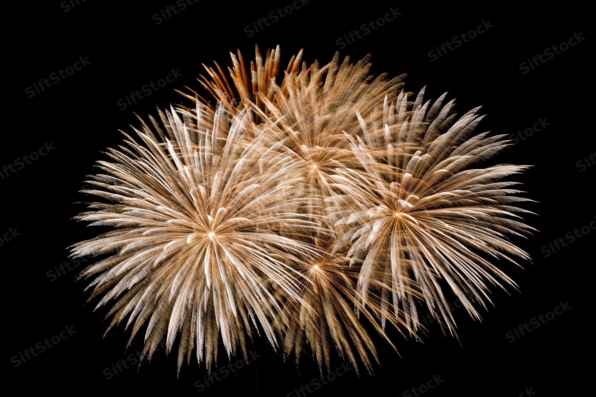 Multiple fireworks bursting simultaneously against a black sky