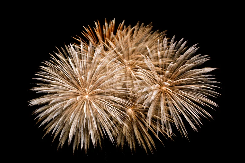 Multiple fireworks bursting simultaneously against a black sky