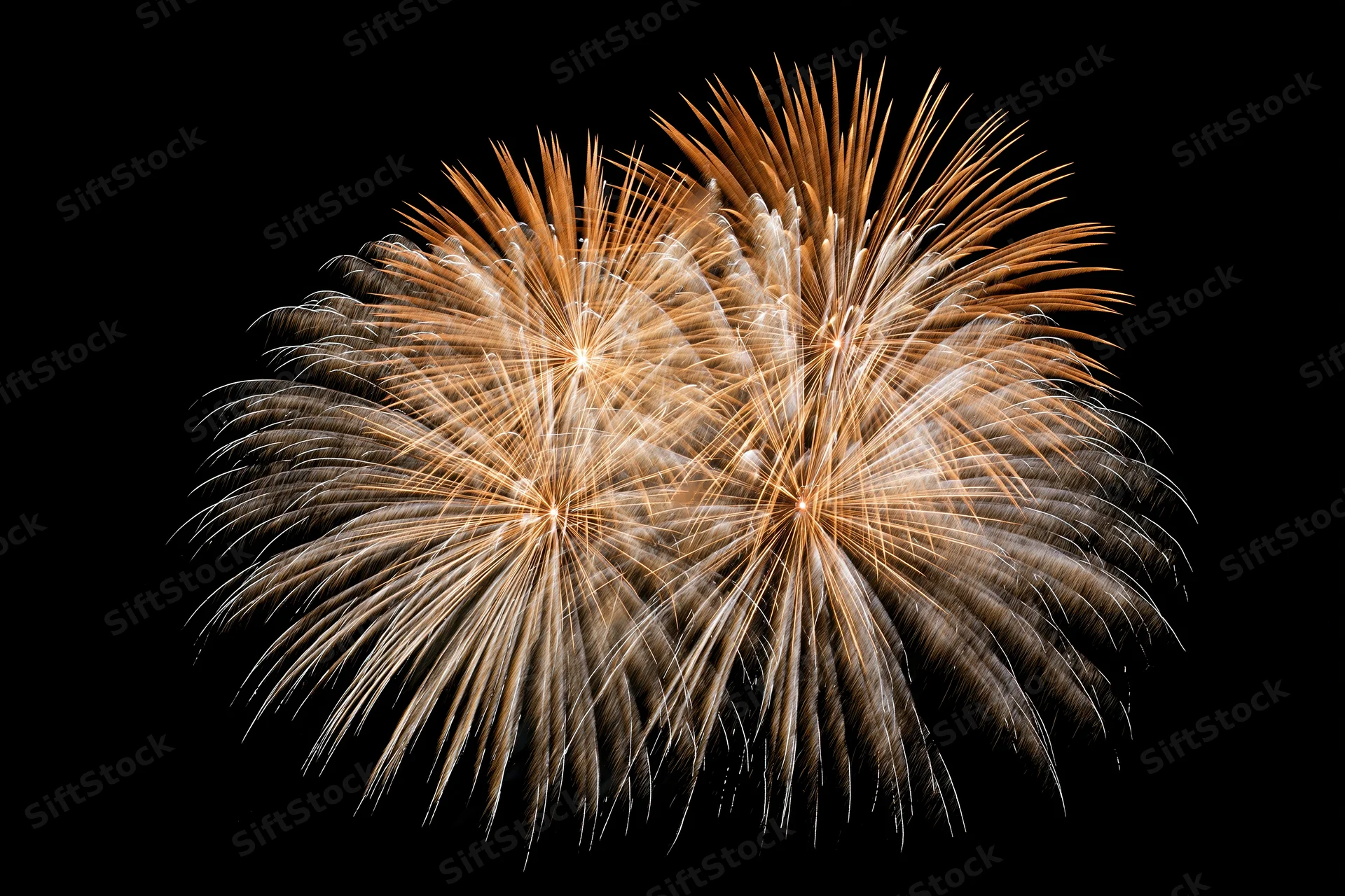 Multiple fireworks bursting simultaneously against a black night sky