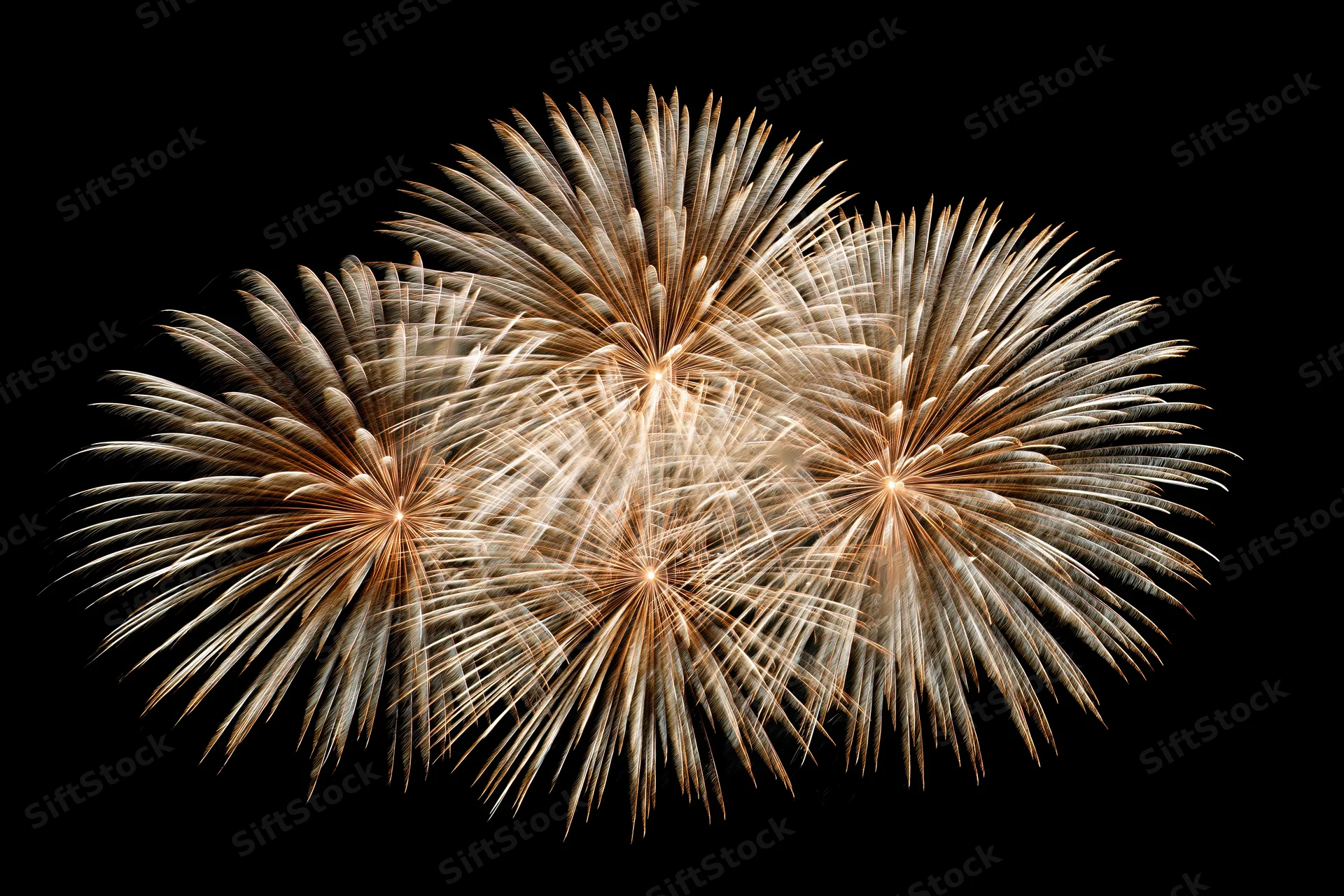 Multiple fireworks bursting simultaneously against a pure black sky