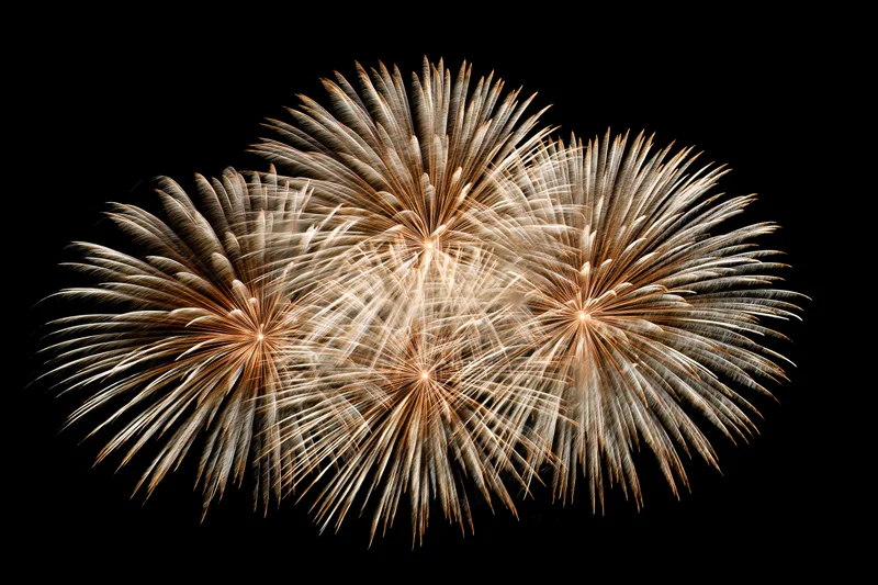 Multiple fireworks bursting simultaneously against a pure black sky