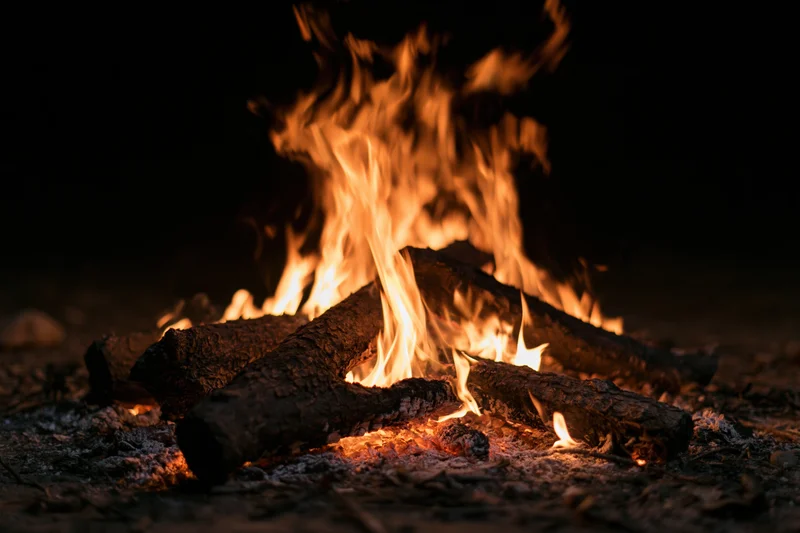 Campfire burning with flames rising from logs on dark ground at night