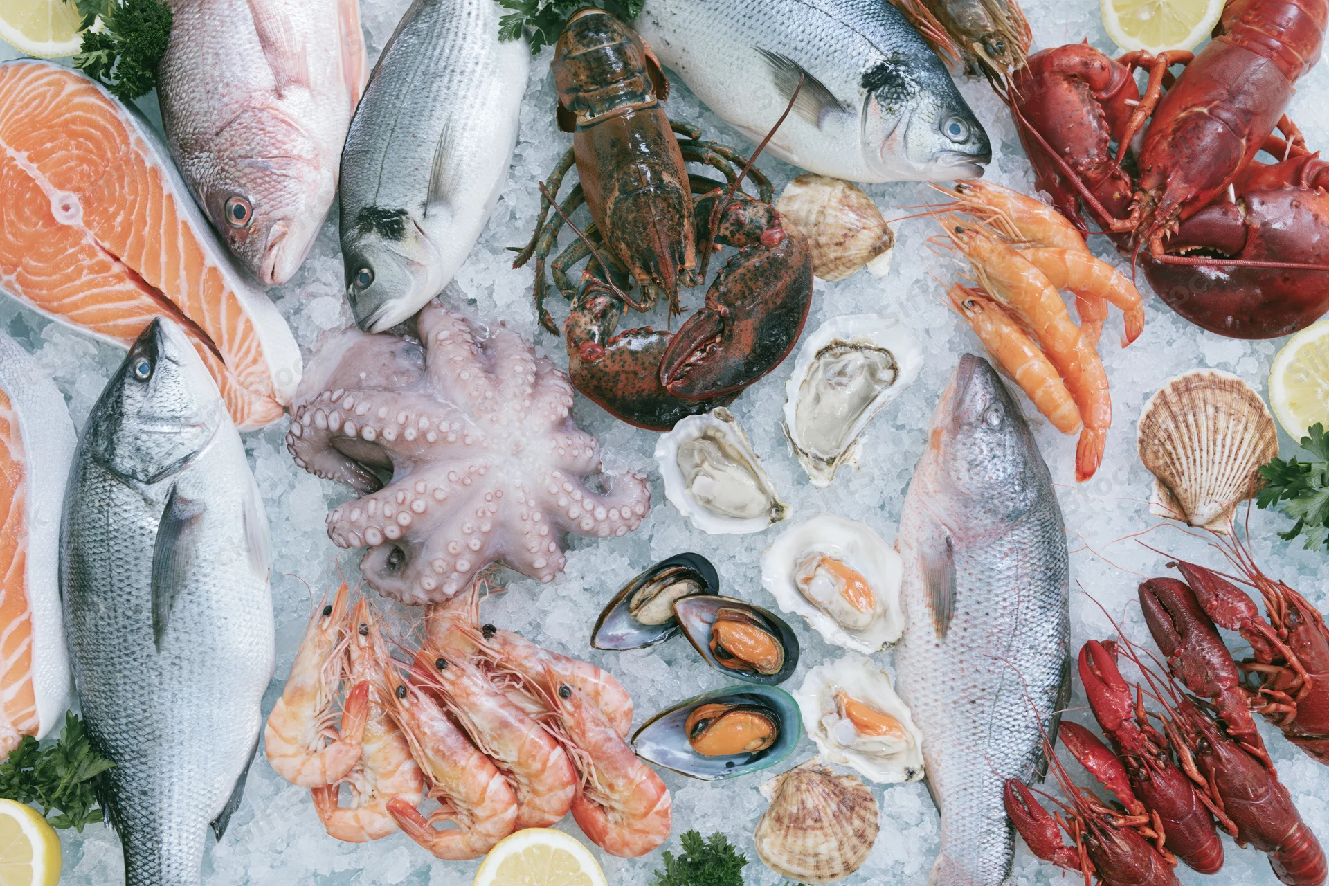 Overhead flat-lay of fresh seafood including fish, lobster, shrimp, octopus, and shellfish arranged on ice with lemon and parsley garnish
