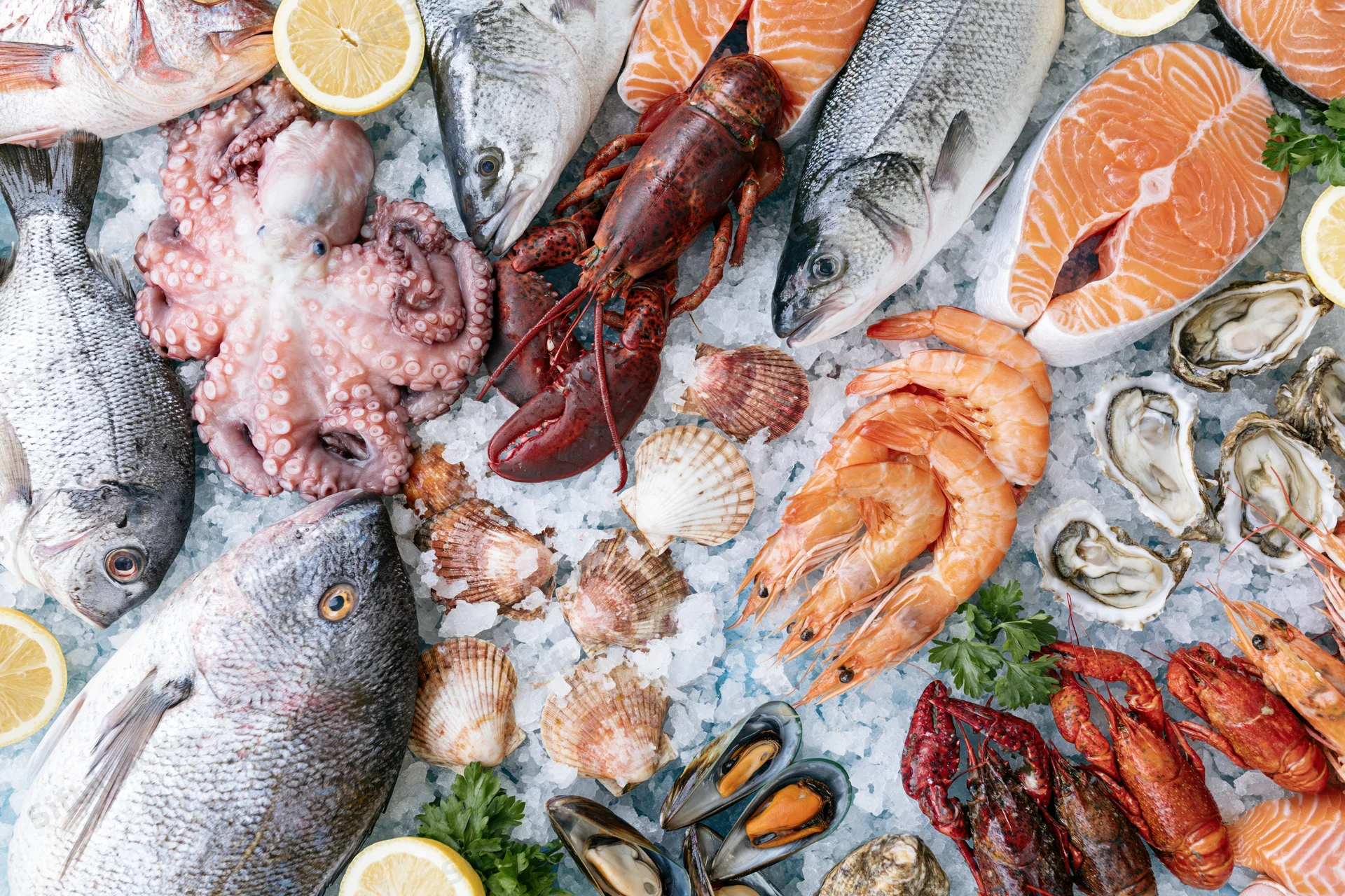 Overhead flat-lay of fresh seafood including fish, lobster, shrimp, octopus, oysters and mussels arranged on ice with lemon and parsley