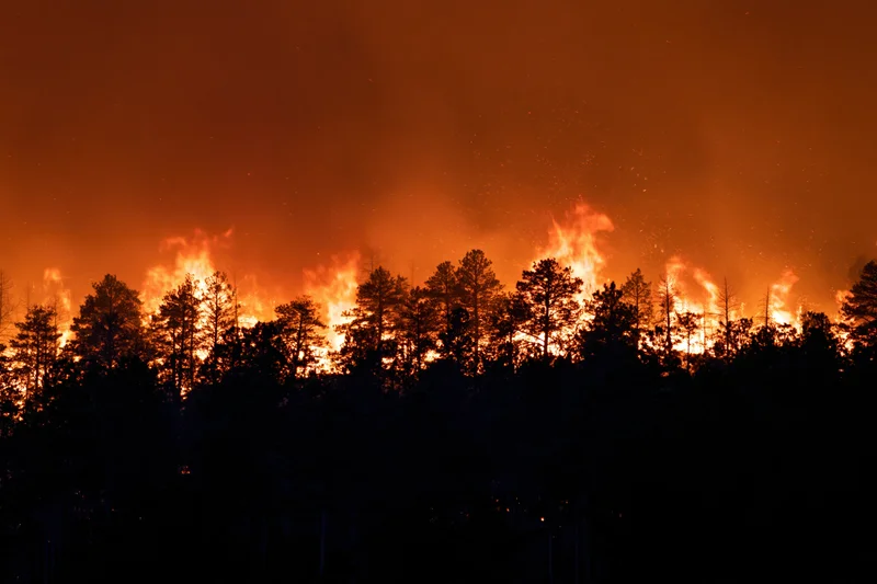 Raging wildfire burning through a pine forest at night, silhouetting trees against orange flames and smoke