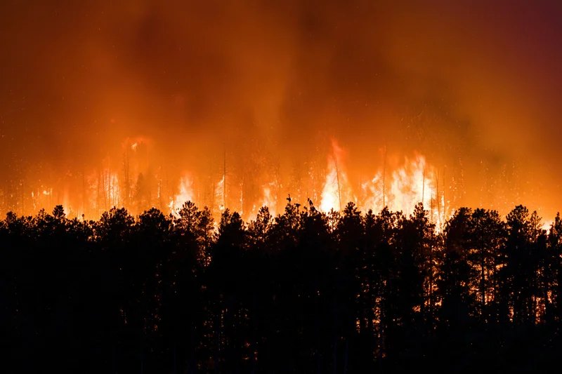 Raging wildfire burning through a pine forest at night, silhouetting the trees against orange flames and smoke