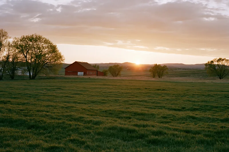 Red barn in a wide green pasture at sunset
