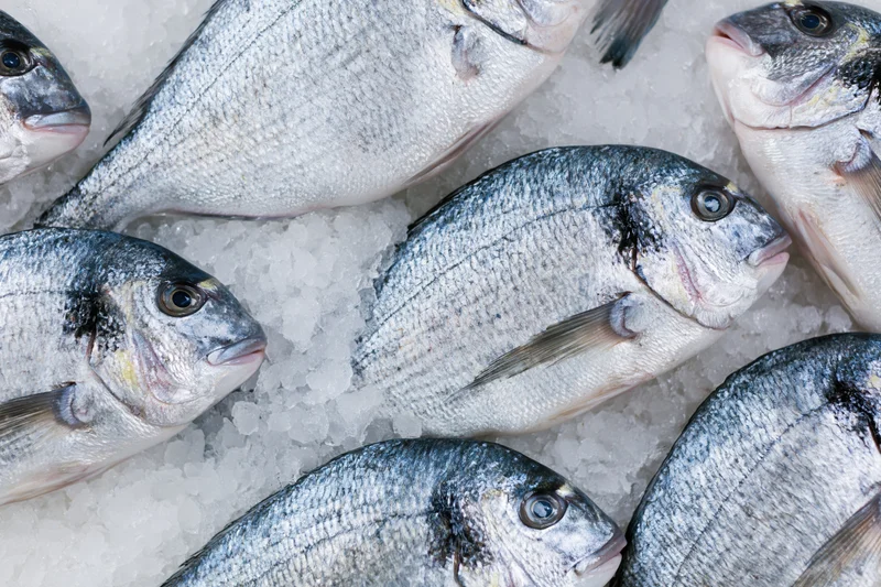Whole fresh sea bream fish arranged on crushed ice in a market display
