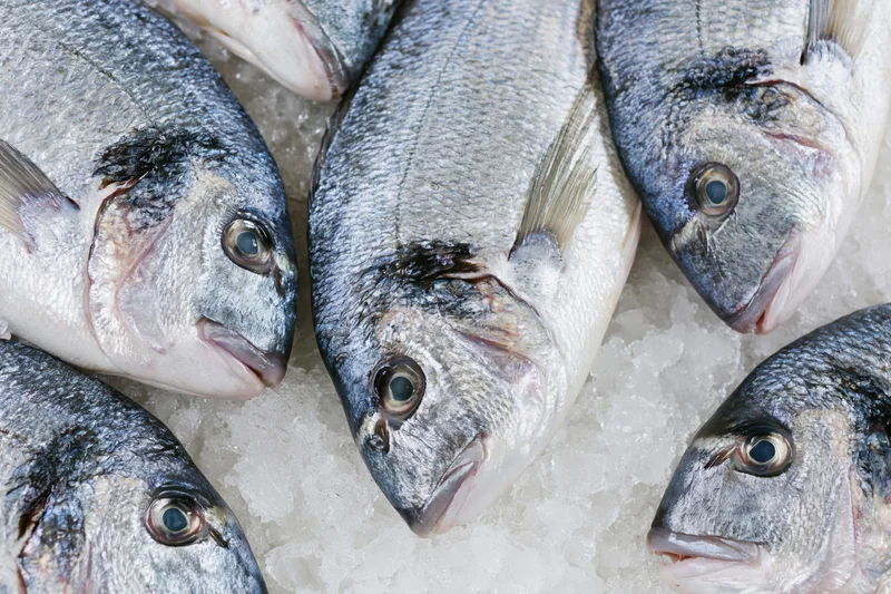 Several fresh whole sea bream fish arranged on crushed ice in a market display
