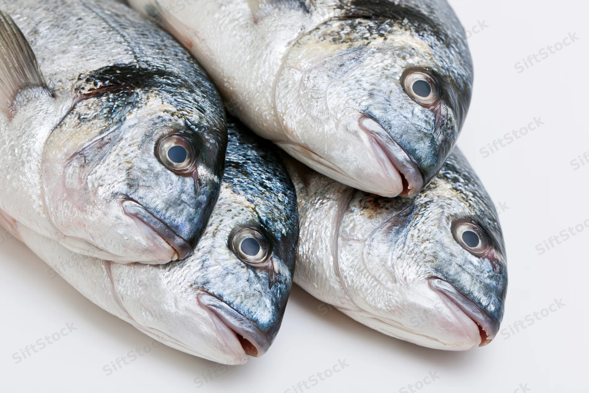 Four fresh whole sea bream fish arranged in a pile on a white surface