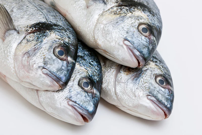 Four fresh whole sea bream fish arranged in a pile on a white surface