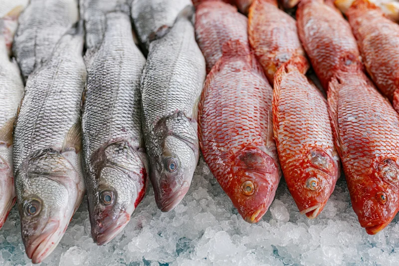 Two rows of fresh whole fish on crushed ice at a seafood market