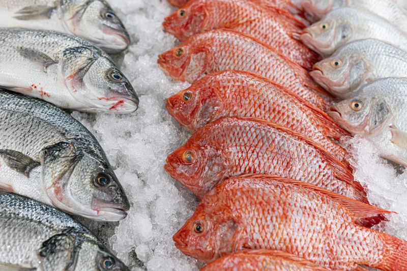 Whole fresh fish arranged in rows on crushed ice at a market display