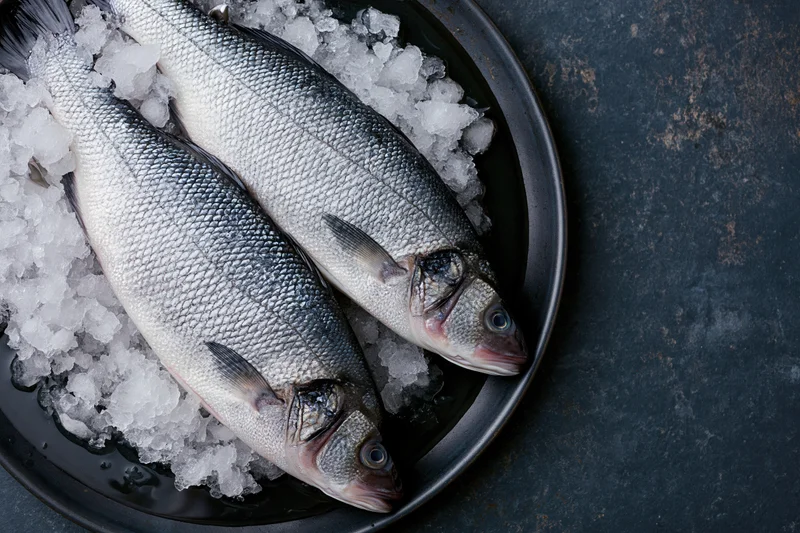 Two whole raw sea bass on crushed ice in a dark metal bowl
