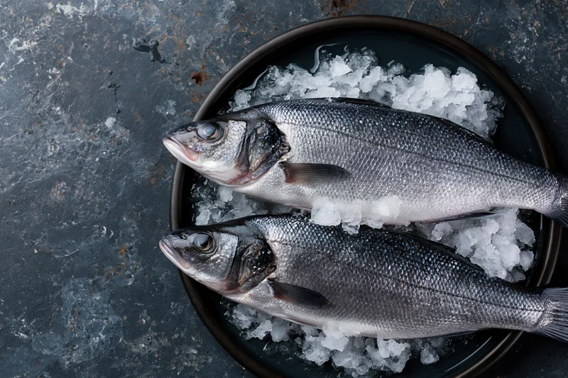 Two whole raw sea bass on crushed ice in a dark bowl on a gray countertop