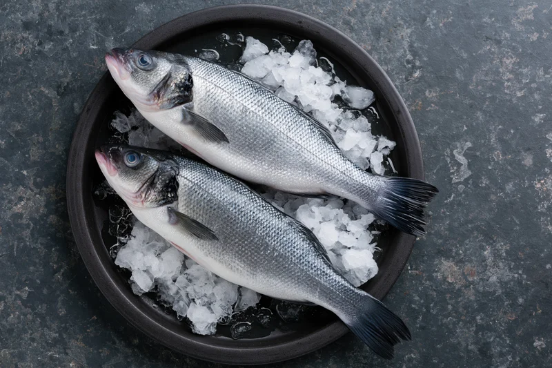 Two whole raw sea bass on crushed ice in a dark bowl viewed from above