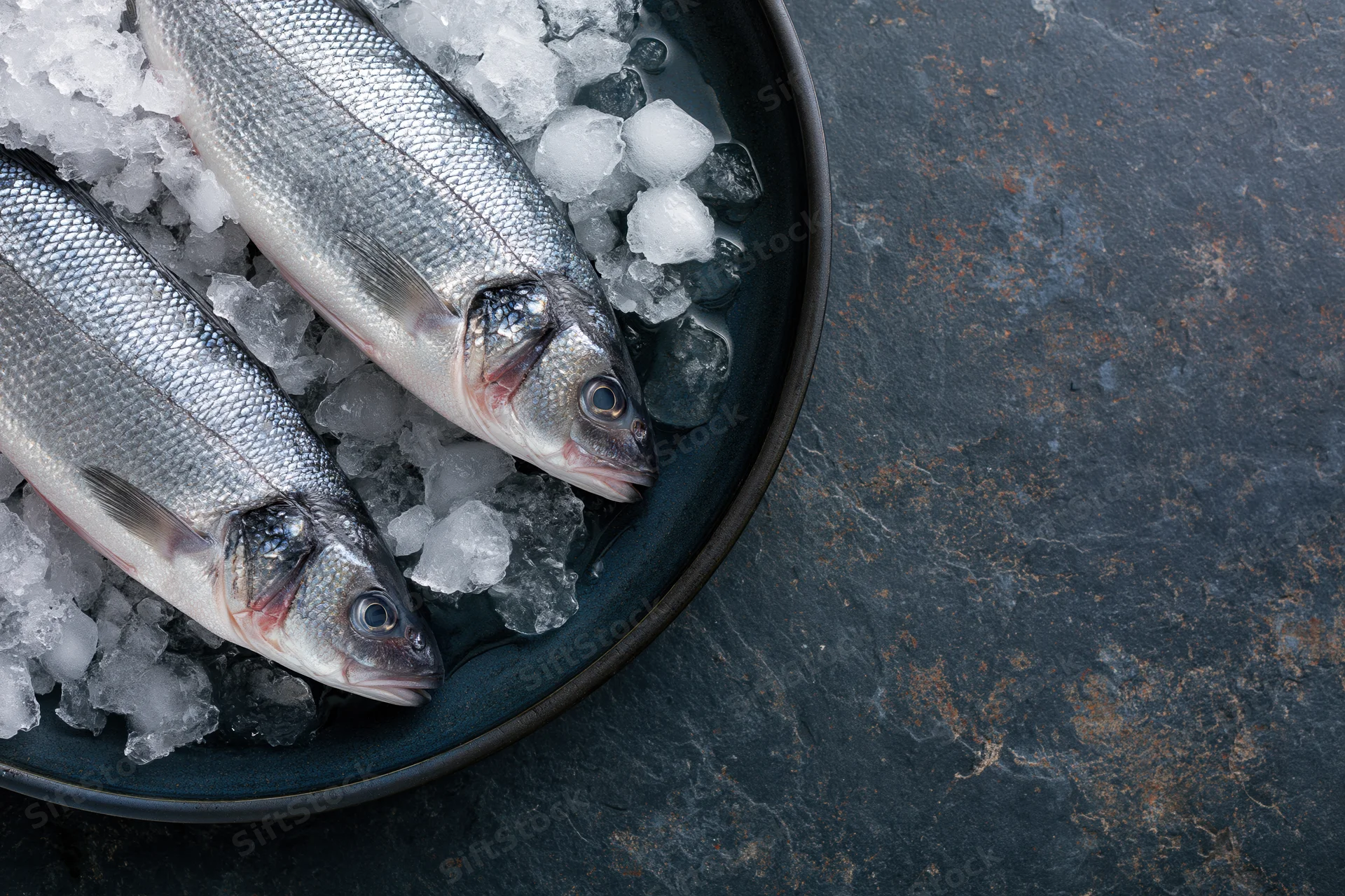 Two whole raw sea bass on crushed ice in a dark plate on stone surface