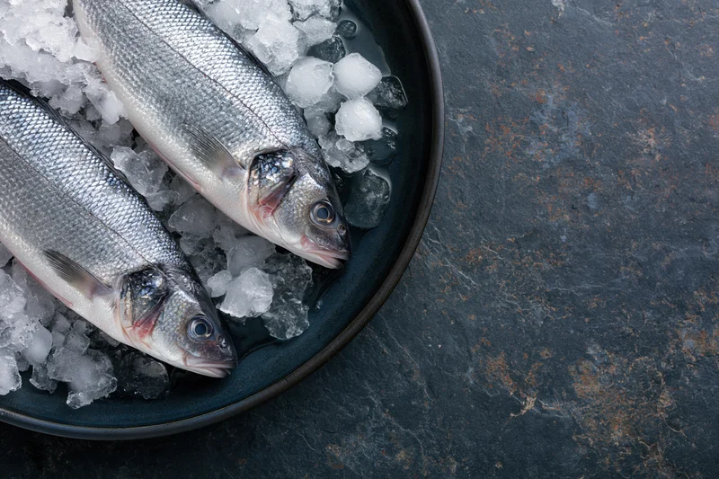 Two whole raw sea bass on crushed ice in a dark plate on stone surface