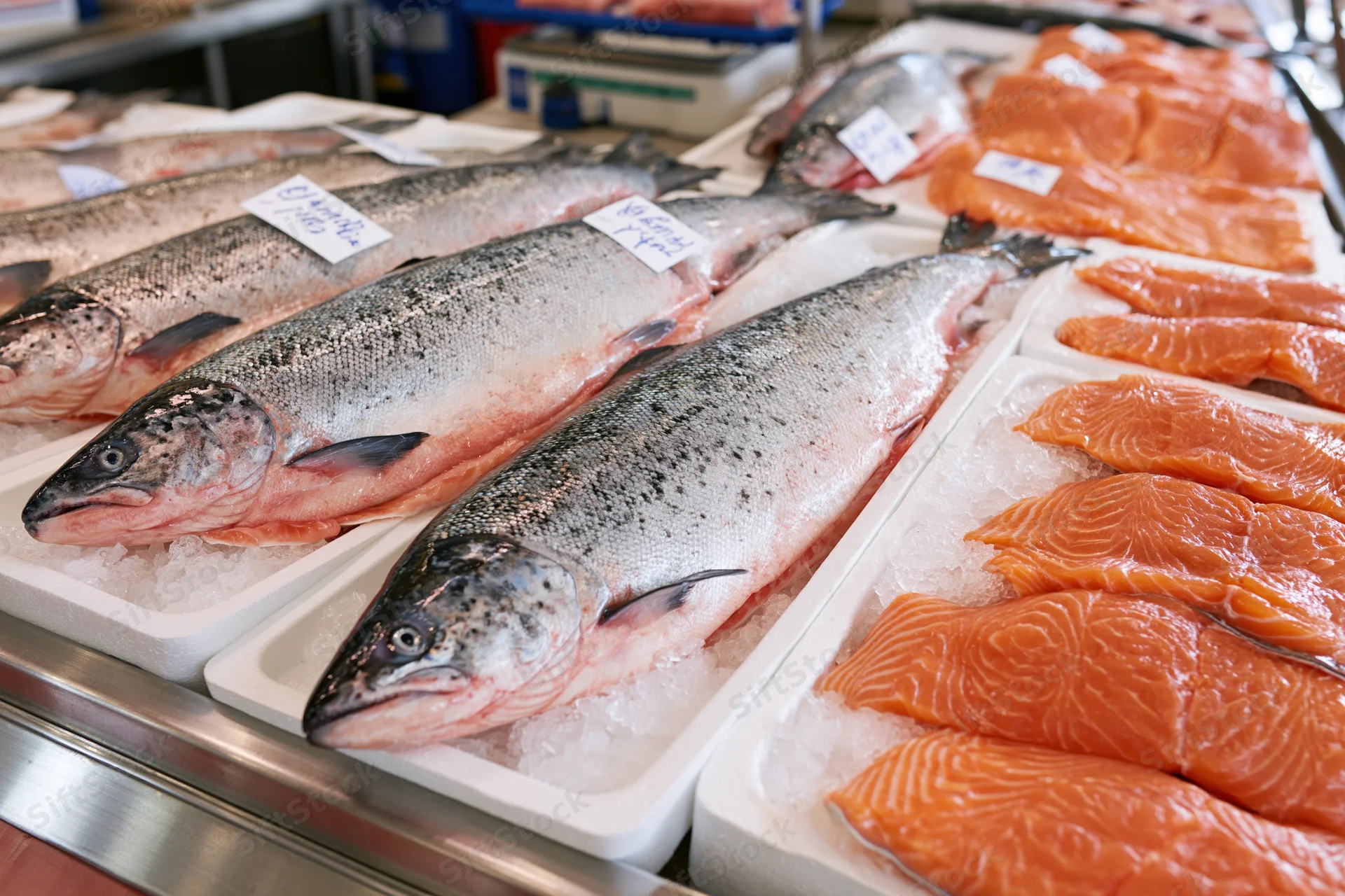 Whole fresh salmon and fillets arranged on crushed ice in a market display