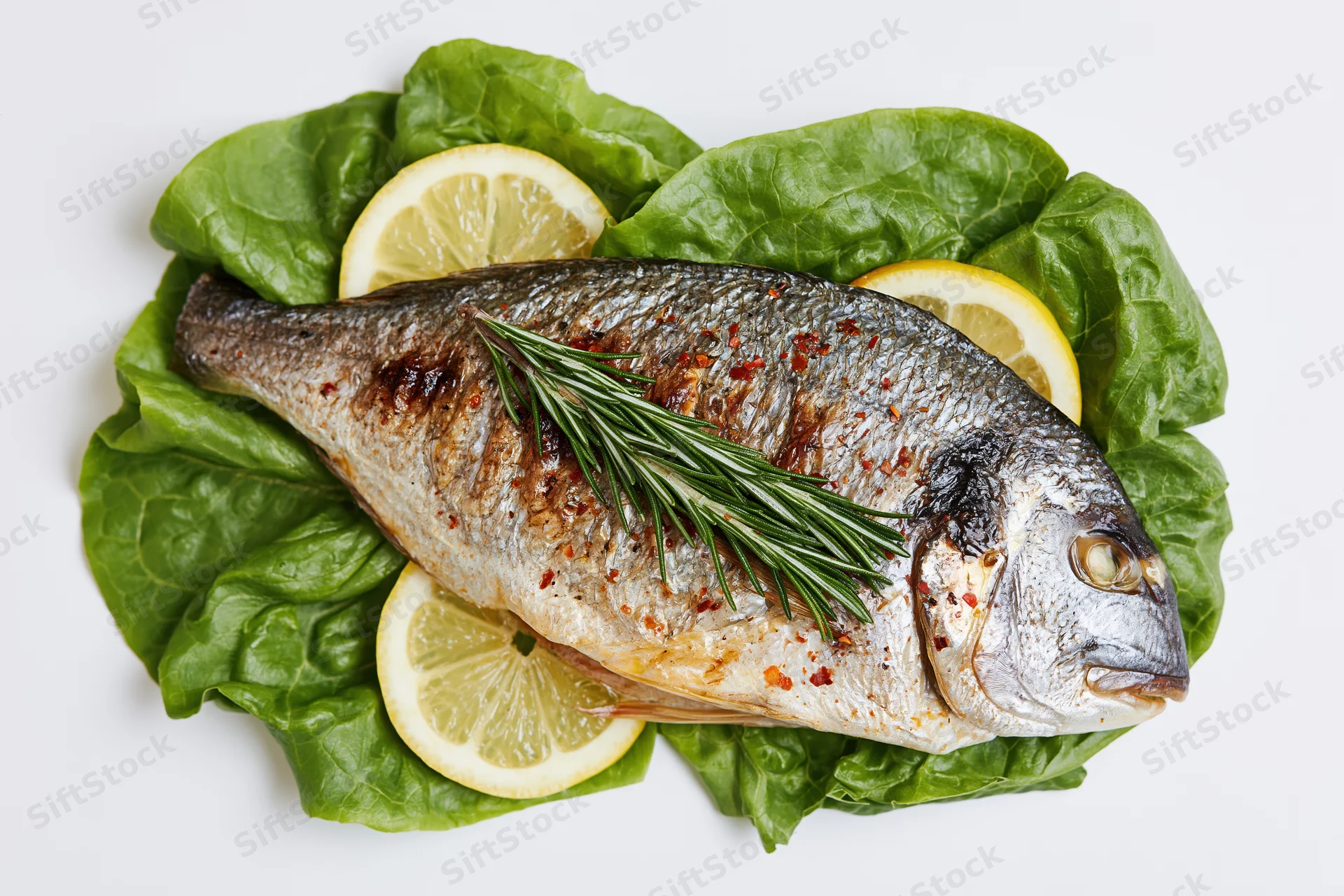 Grilled sea bream on a bed of lettuce with lemon slices and rosemary sprig