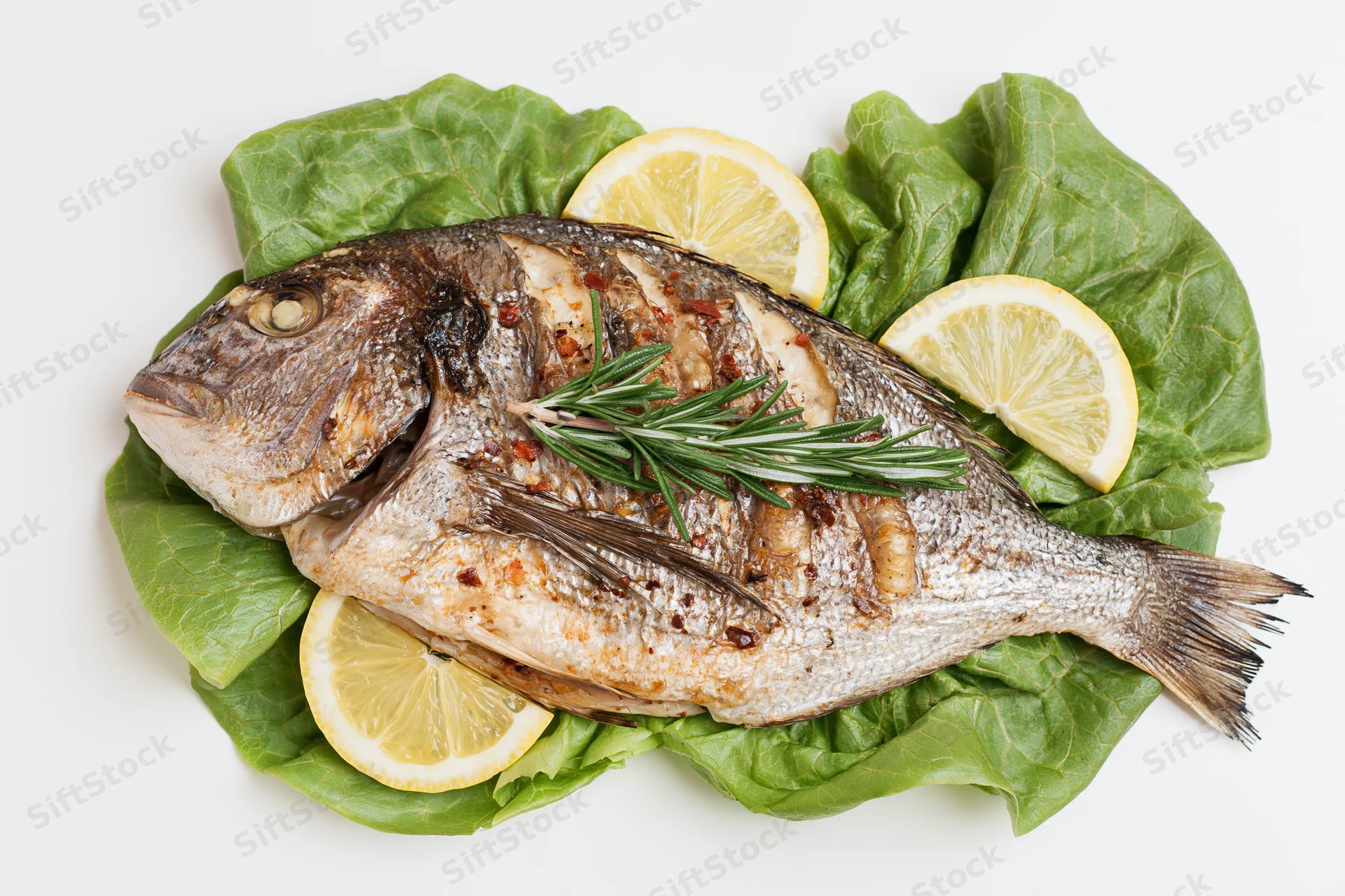 Grilled sea bream on lettuce with lemon and rosemary on white background