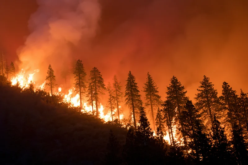 Wildfire burning across a hillside treeline at night with intense flames and smoke