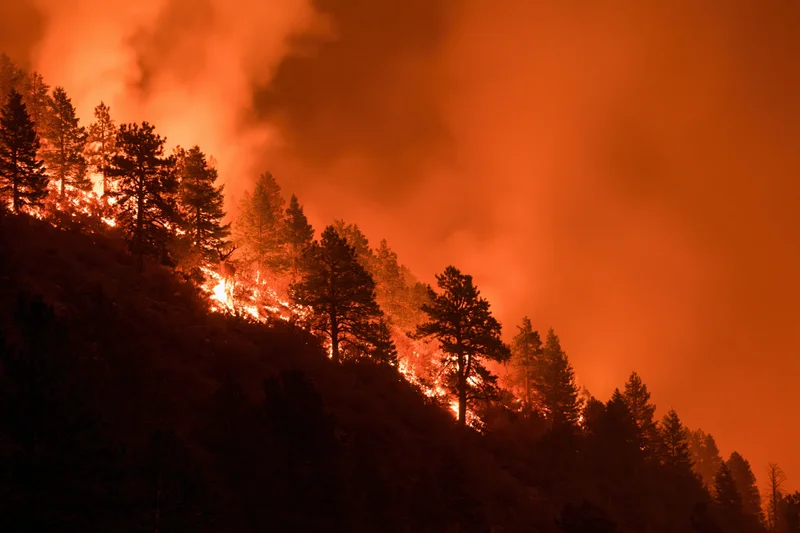 Wildfire burning across a forested hillside at night