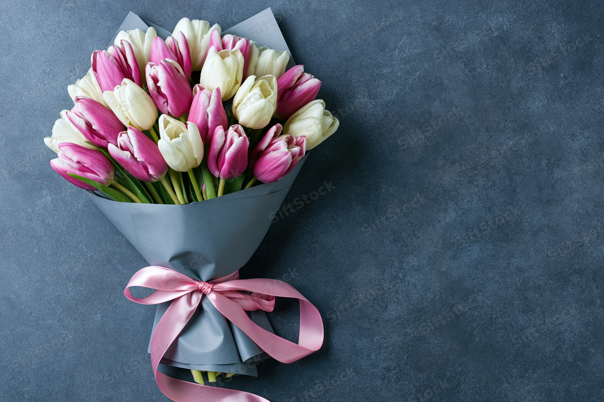 Bouquet of pink and white tulips wrapped in grey paper with pink ribbon on dark surface