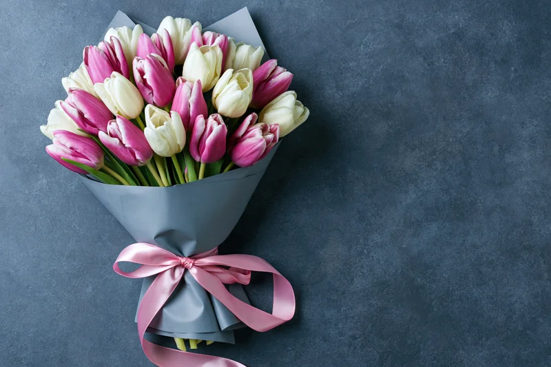 Bouquet of pink and white tulips wrapped in grey paper with pink ribbon on dark surface