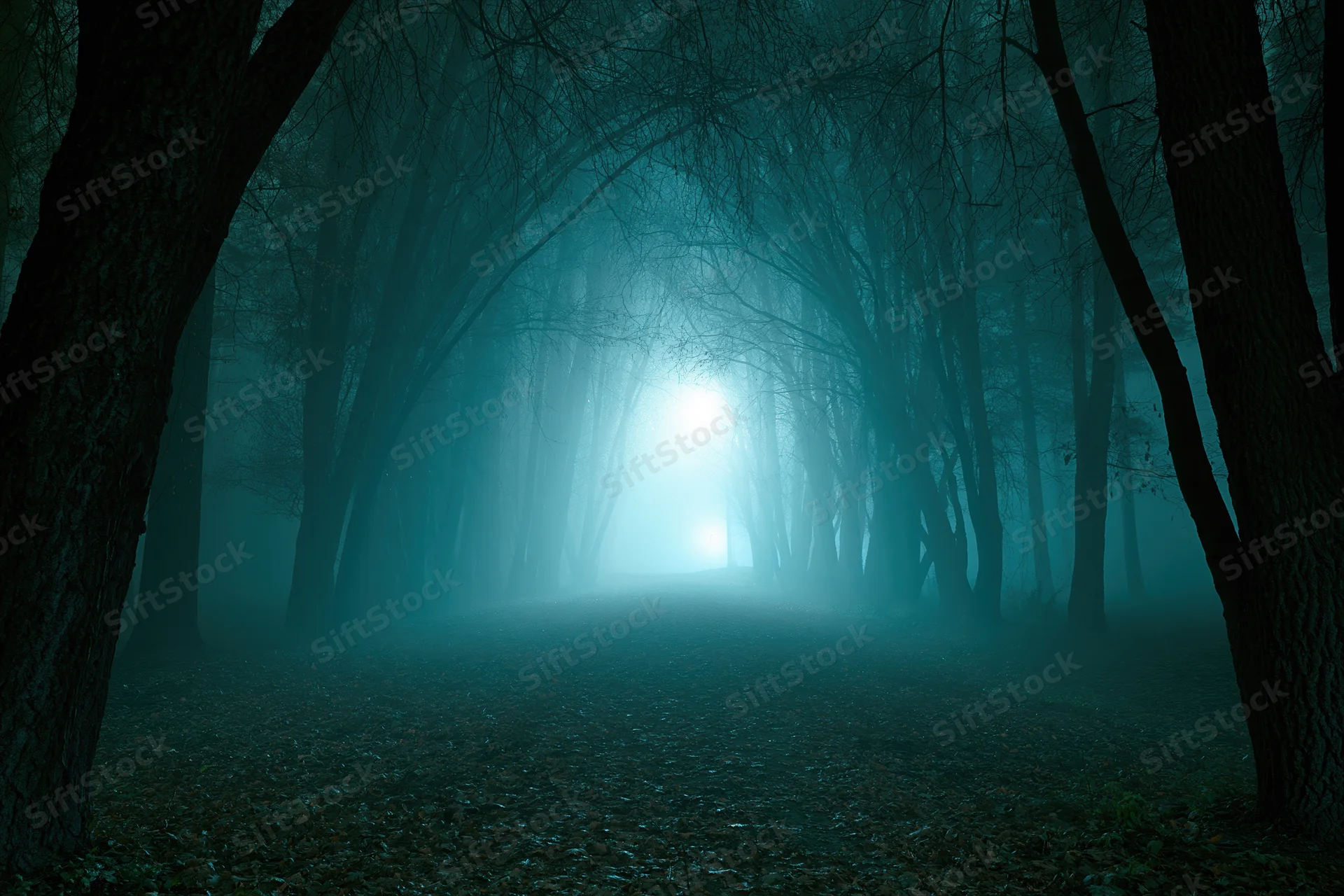 Narrow forest path vanishing into dense fog at night with glowing light ahead