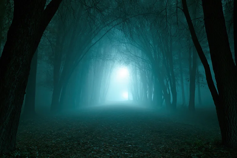 Narrow forest path vanishing into dense fog at night with glowing light ahead