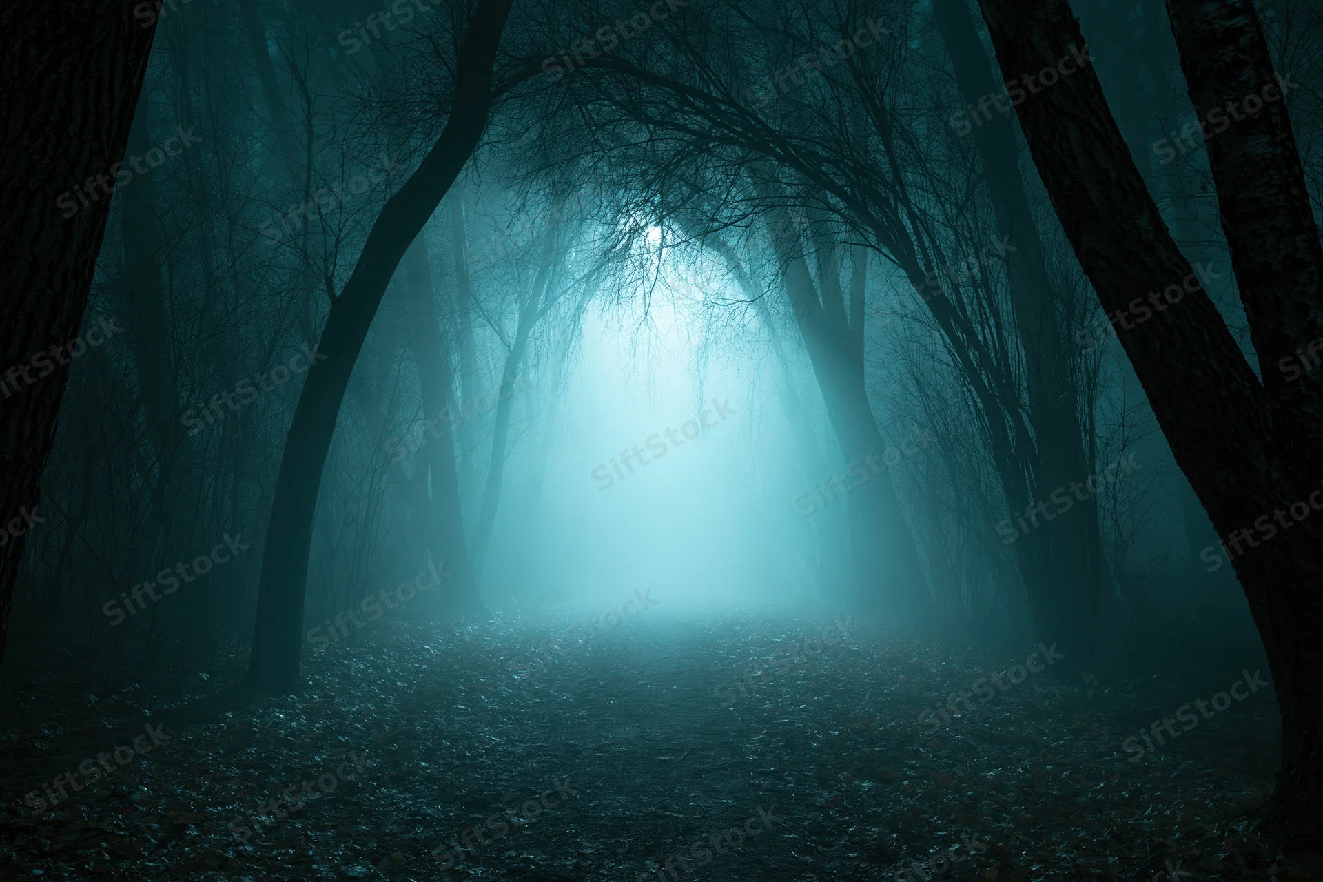 Narrow forest path vanishing into dense fog at night, flanked by bare trees and leaf-covered ground, under a cool blue light