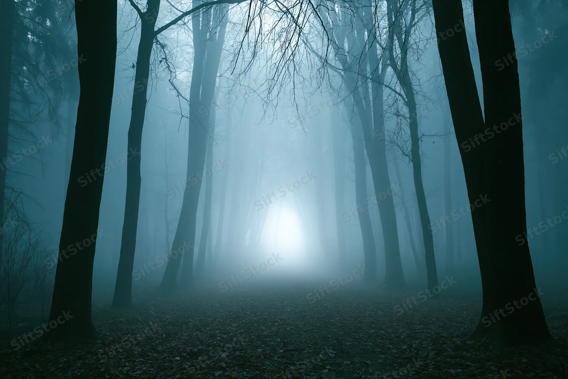 Narrow forest path vanishing into dense fog among bare dark trees
