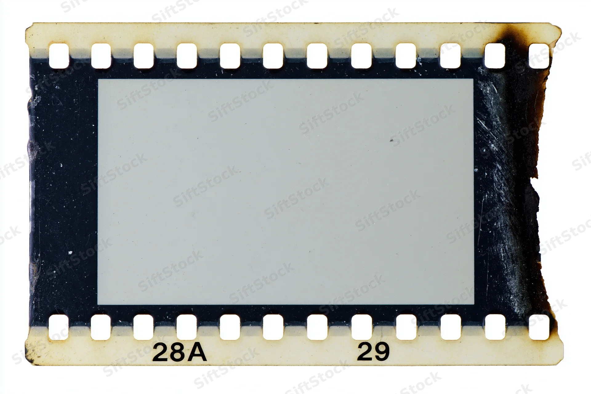 Blank 35mm film strip frame with sprocket holes and burnt edges isolated on white