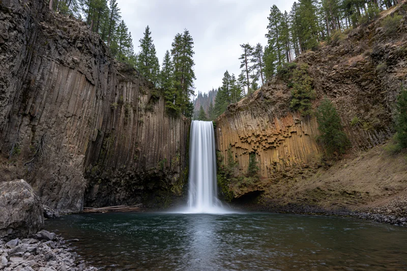 Waterfall cascading into calm pool at base of columnar basalt cliffs in forested canyon