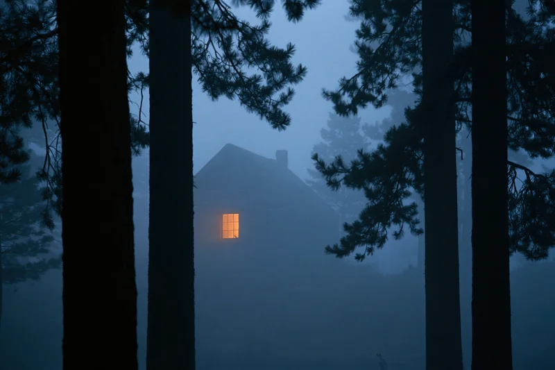 Cabin with glowing window seen through pine trees in fog at night