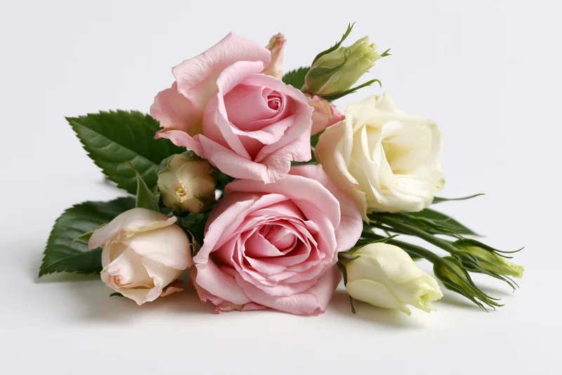 A cluster of pink roses and cream lisianthus arranged with green leaves on a white surface
