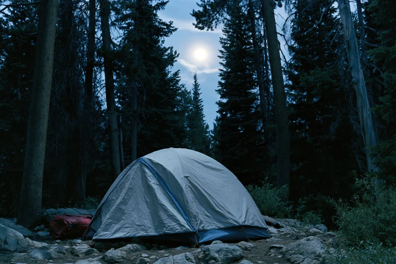 Small tent pitched on rocky clearing in dense forest at night under moonlight