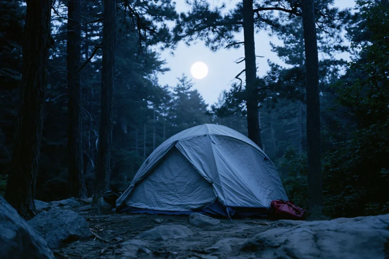 Small tent pitched on rocky clearing in forest at night under full moon