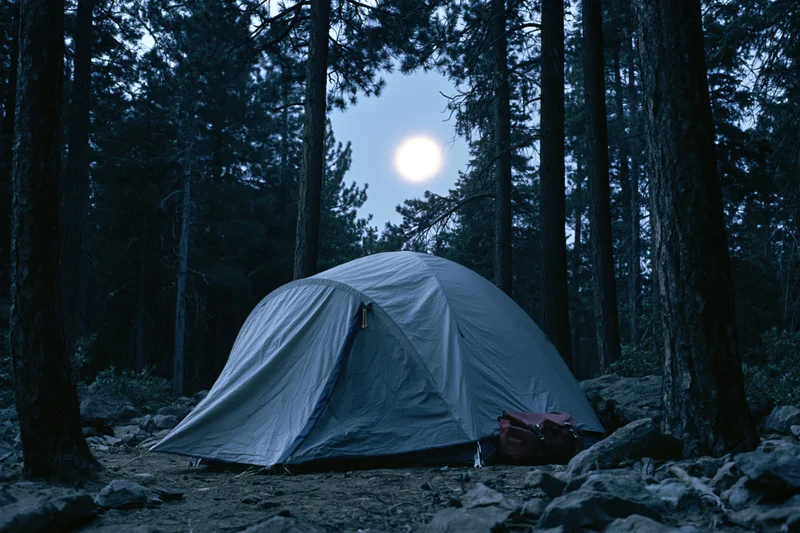 Small tent pitched on rocky clearing in forest at night under full moon