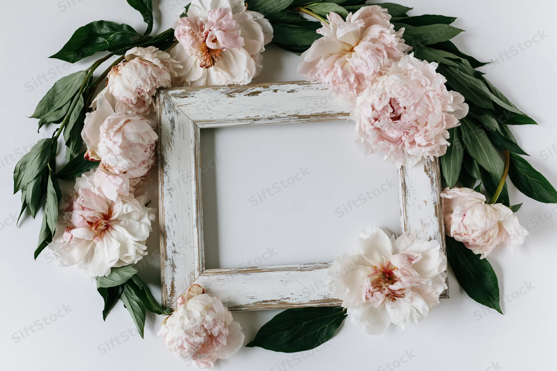 Weathered white wooden frame surrounded by pink peonies and green leaves on white surface
