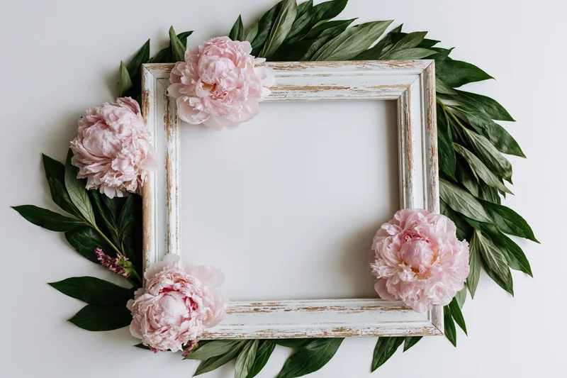 Weathered white wooden frame surrounded by pink peonies and green leaves on white surface