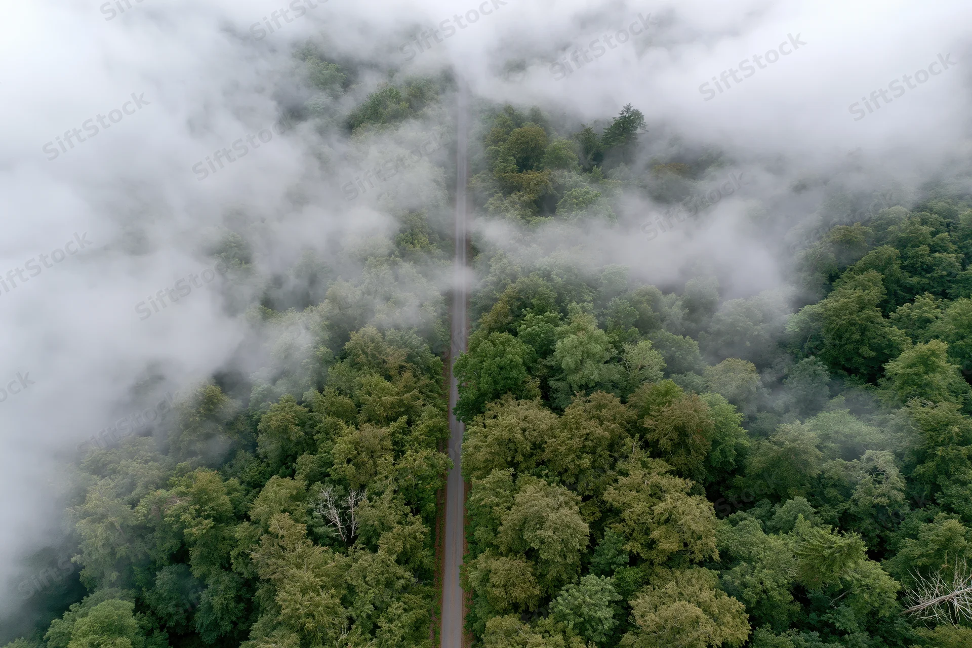 Aerial view of a straight road cutting through a dense green forest canopy shrouded in mist