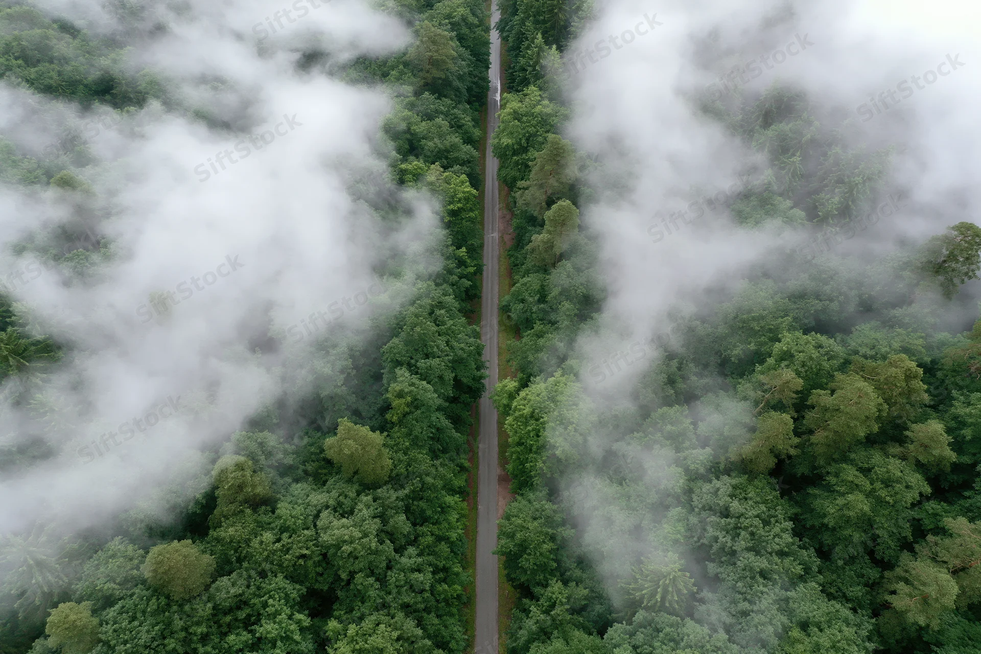Aerial view of a narrow road cutting through a dense green forest canopy with mist drifting among the treetops