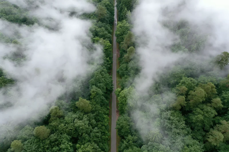 Aerial view of a narrow road cutting through a dense green forest canopy with mist drifting among the treetops