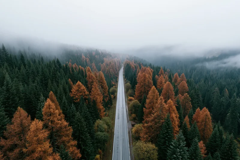 Aerial view of a straight two-lane road through a misty autumn forest with orange and green trees