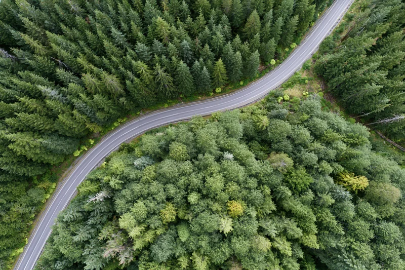 Aerial top-down view of a winding two-lane road through a dense forest