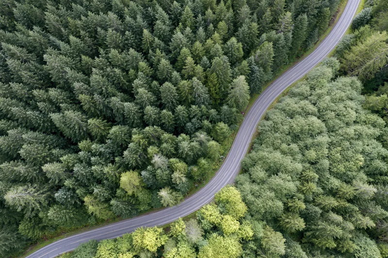 Aerial view of a winding two-lane road through a dense forest