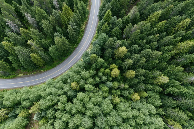 Aerial top-down view of a winding two-lane road through a dense green forest