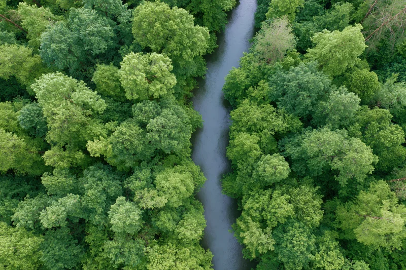 Aerial top-down view of a narrow winding river cutting through dense green forest canopy